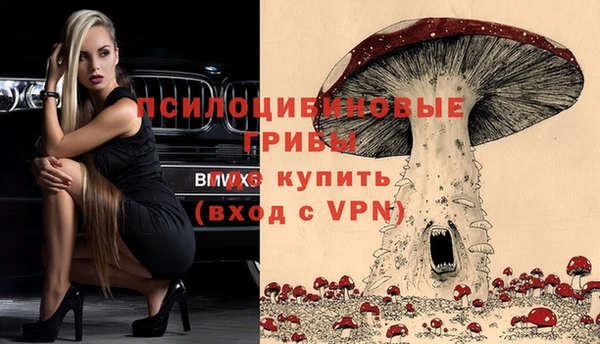 сатива Верея