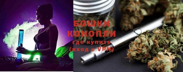твердый Володарск
