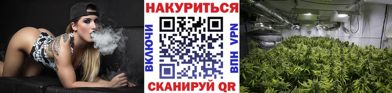 Канабис индика Жуковка