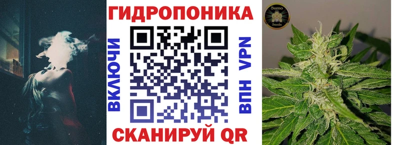 Купить где Жуковка Бошки марихуана ГИДРОПОН